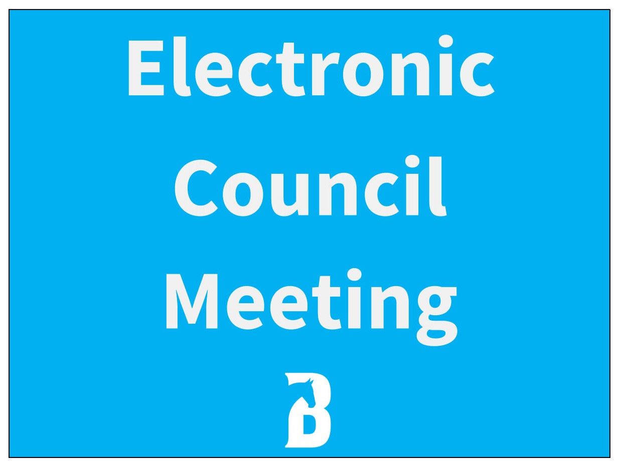 Electronic City Council