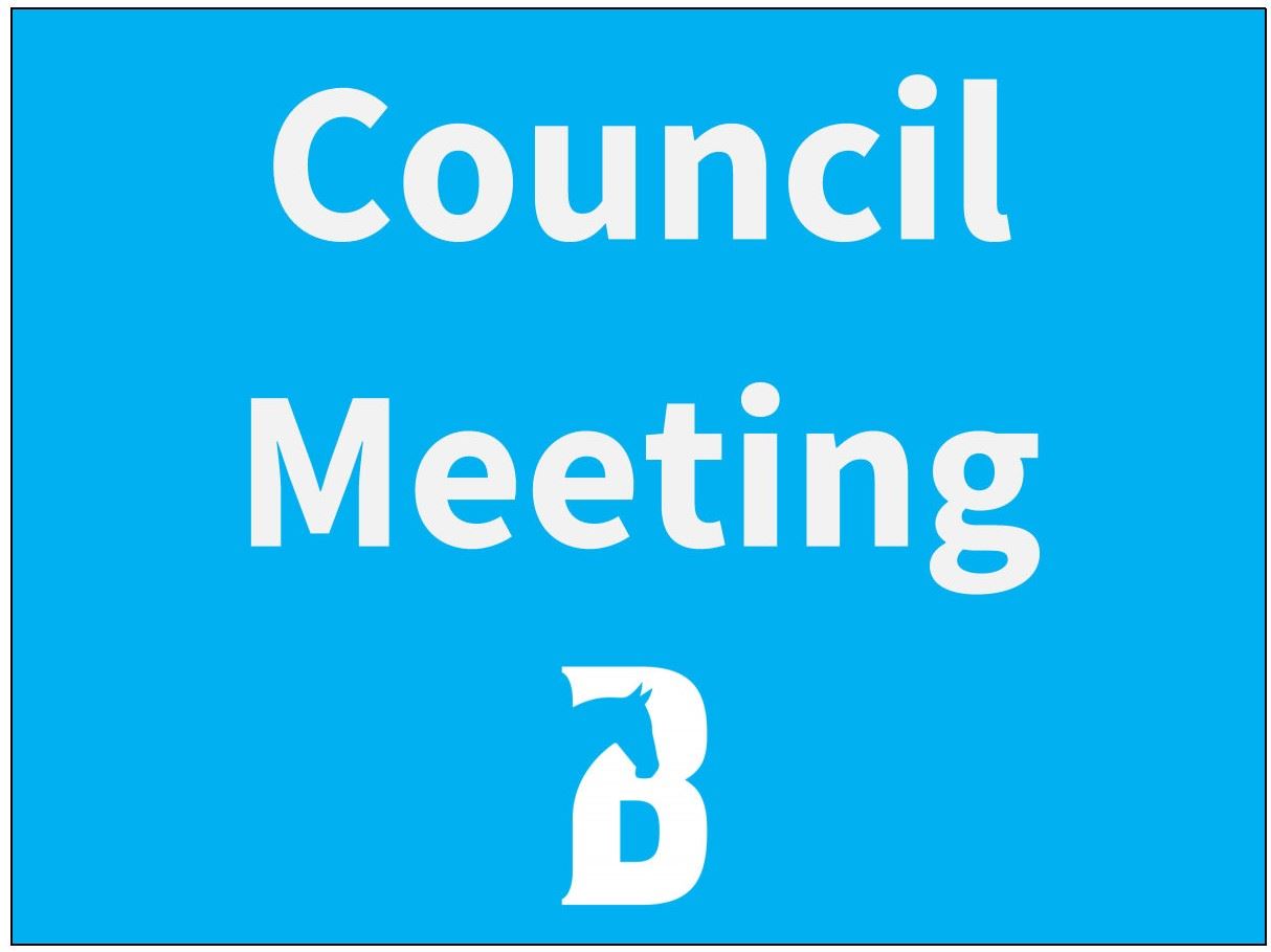 Council Meeting