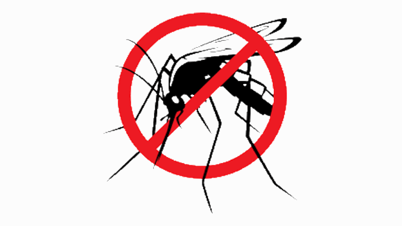 mosquito-no
