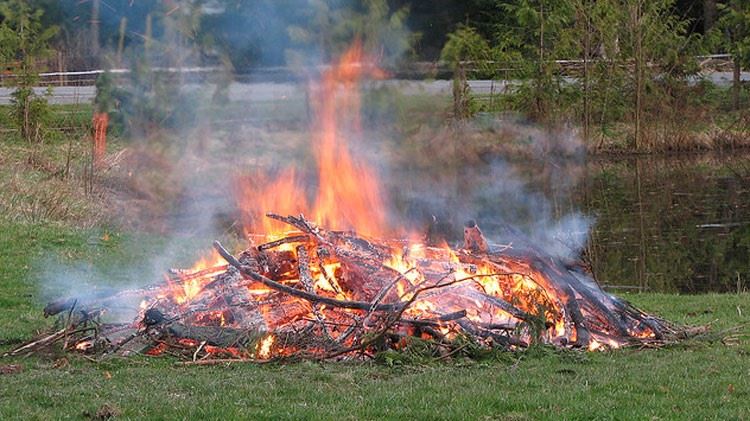 Bonfire on green grass