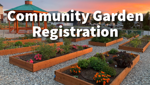 NF - Community Garden