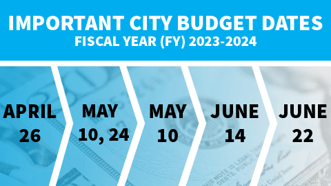 Budget Timeline
