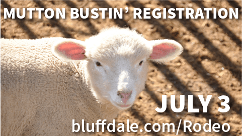 Mutton Bustin