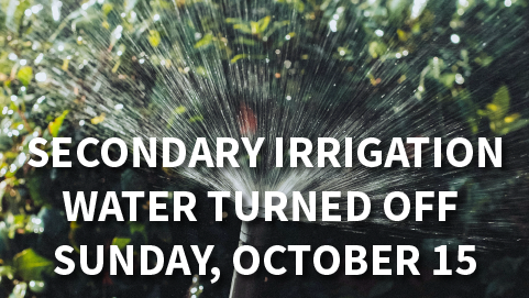 Spraying water sprinkler with green bush in background