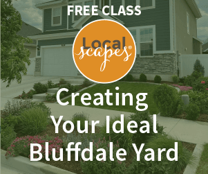 Landscaped front yard