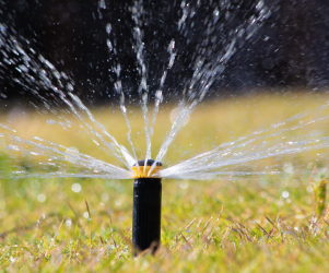Sprinkler with water on green grass