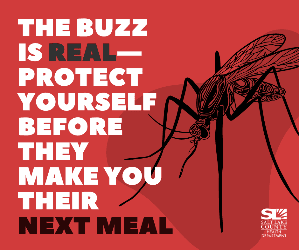 Mosquito on a red background