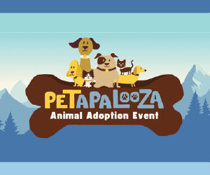 Illustration of dogs of different sizes on a bone