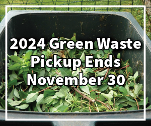 Garbage can filled with green leaves