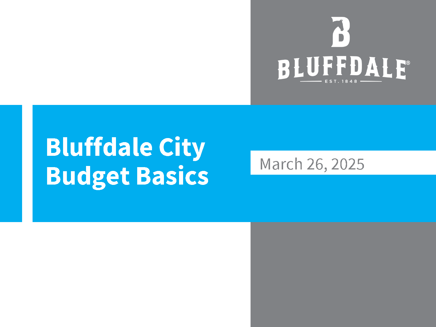 2025-03-26 -Budget Presentation_Page_01