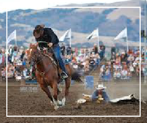 Cowboy on horse dragging someone on a cow hide