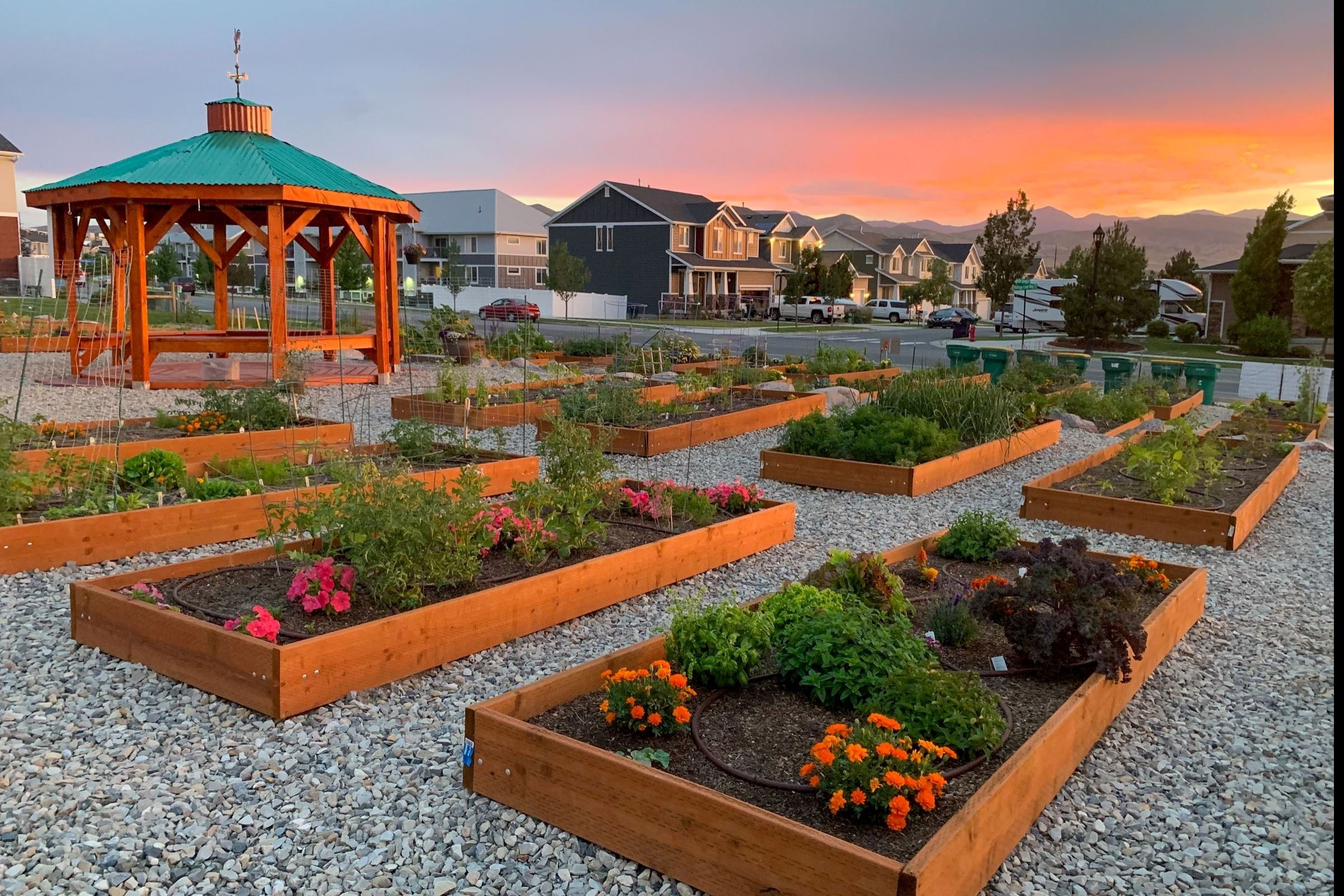 Community Garden